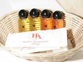 Hotel De La Place Des Alpes Paříž